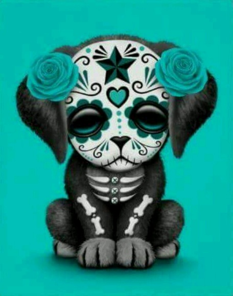 Meet your Posher, Melissa - Picture 1 of 1